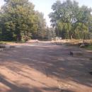 Silesian Central Park - June 2012 15