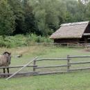 Górnośląski Park Etnograficzny DSC 8170