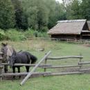 Górnośląski Park Etnograficzny DSC 8163